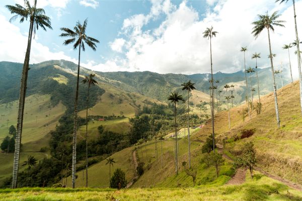Semana Santa en el Quindío y Eje Cafetero